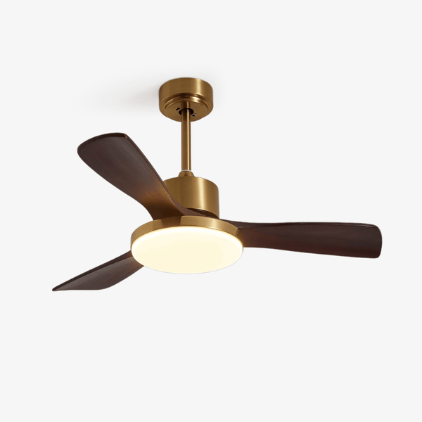 Aurevo Ceiling Fan Light