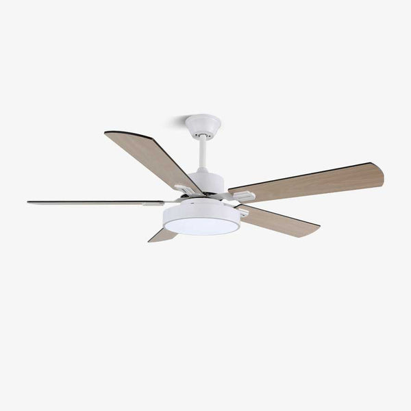 Zephyris Ceiling Fan Light