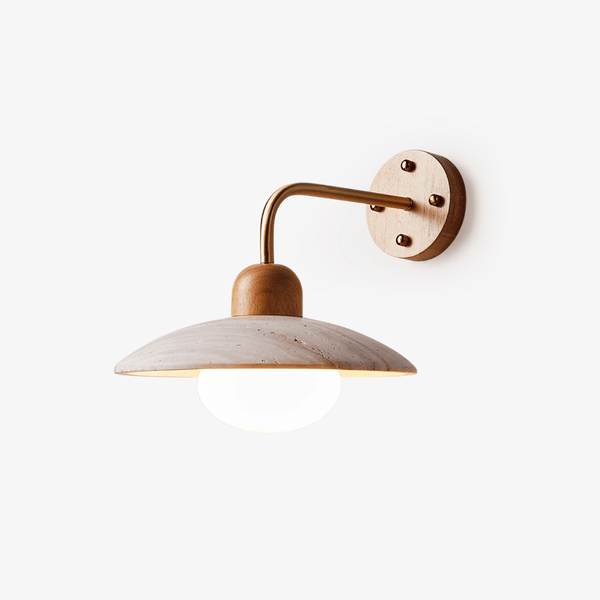 Dome Arm Wall Lamp