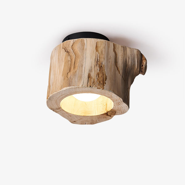 Tarn Hollow Ceiing Lamp