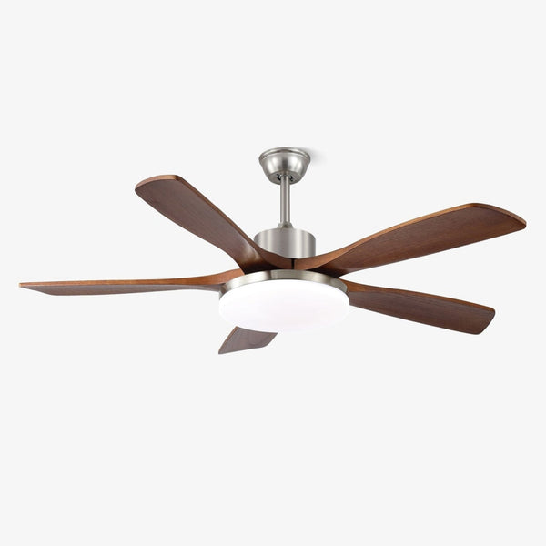 Lunet Ceiling Fan Light