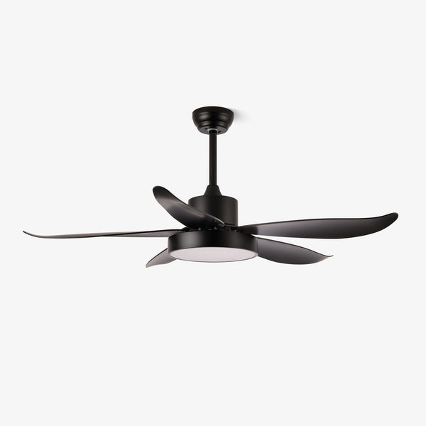 Noctura Glide Ceiling Fan Light